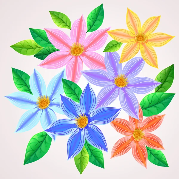 鲜艳的花朵的铁线莲 — 图库矢量图片