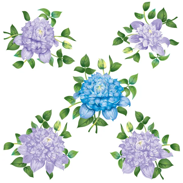 Flores de Clematis — Archivo Imágenes Vectoriales