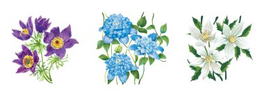 Flowers on white background clipart