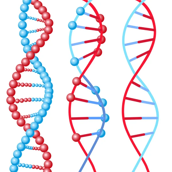 DNA-molekyler spiraler — Stock vektor