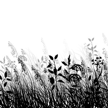 Otlar, yulaf ve çiçekler