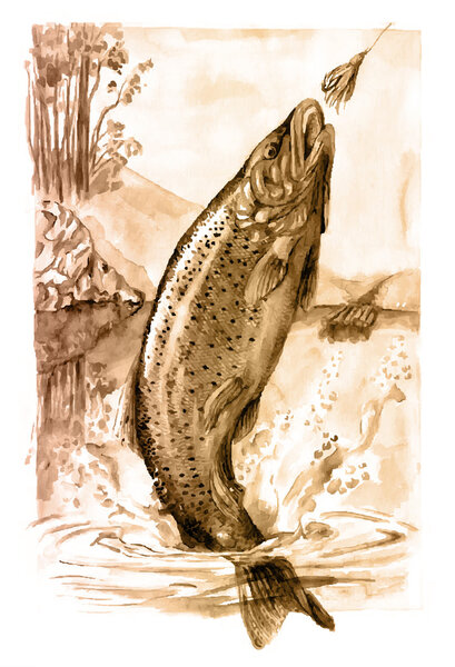 Приманка для охоты на форель
.