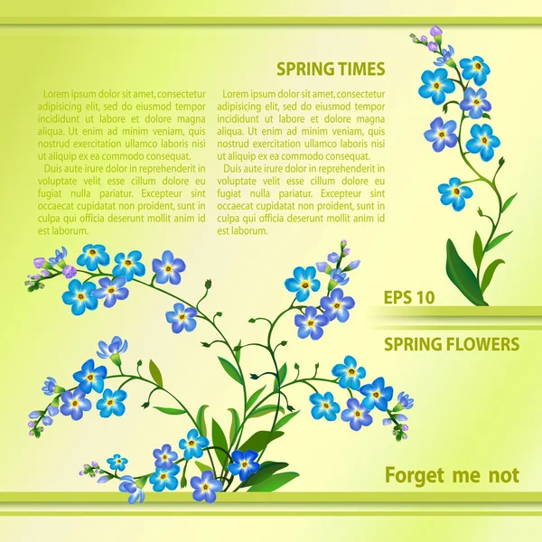 Forget me not flowers. — Stock Vector