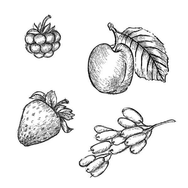 Croquis au crayon de fruits — Image vectorielle