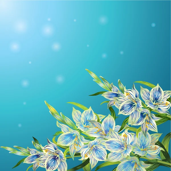 Gladiolo bouquet sfondo — Vettoriale Stock