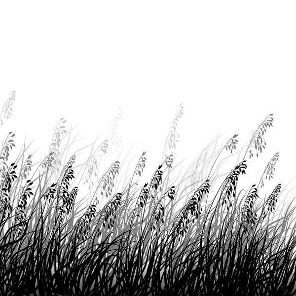 Трави, вівса і квіти — стоковий вектор