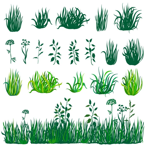 Green grass collection — Stock Vector