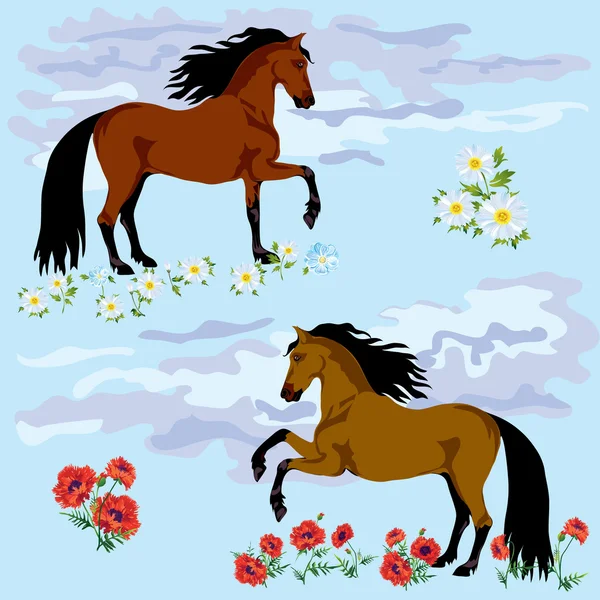 Two Horses in field — Stock Vector