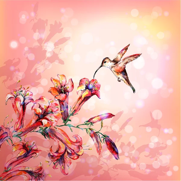 Acquerello colibri e fiori — Vettoriale Stock