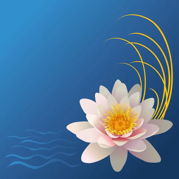 Kartu bunga Lotus - Stok Vektor