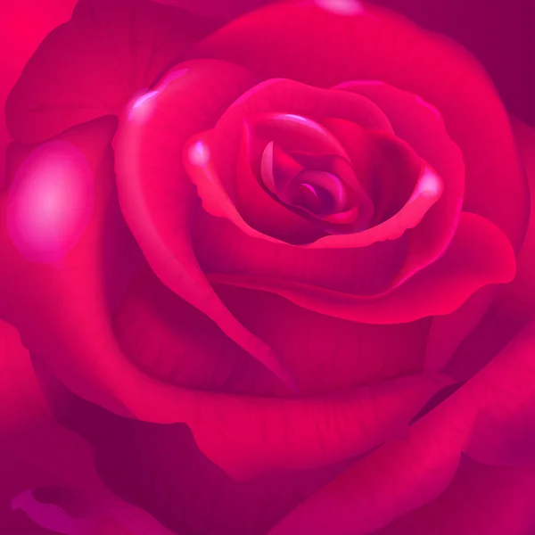 Fond rose rouge — Image vectorielle