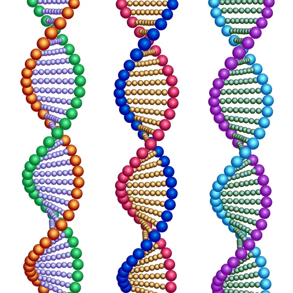 Moléculas de ADN espirais — Vetor de Stock