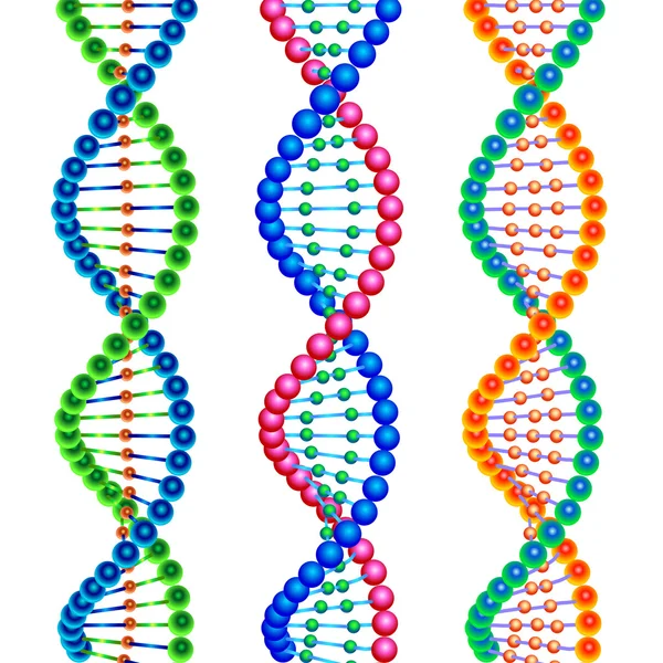 Moléculas de ADN espirais —  Vetores de Stock