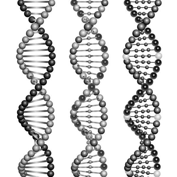 Spirály DNA molekul — Stockový vektor