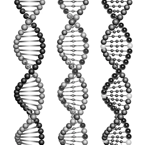 Moléculas de ADN espirais — Vetor de Stock