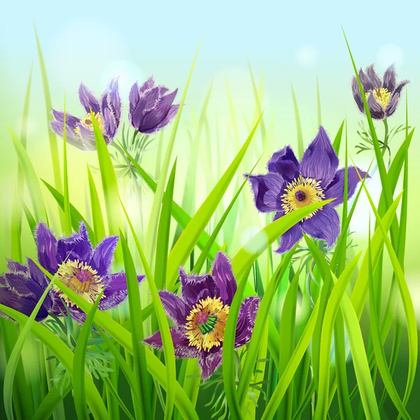 Lila sueño-hierba flores — Vector de stock