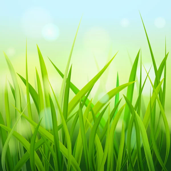 緑の草の背景 — ストックベクタ