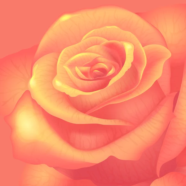 Amarillo rosa fondo — Archivo Imágenes Vectoriales