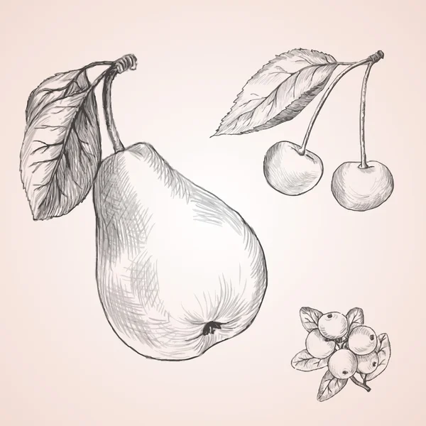 Juego de frutas de boceto — Archivo Imágenes Vectoriales