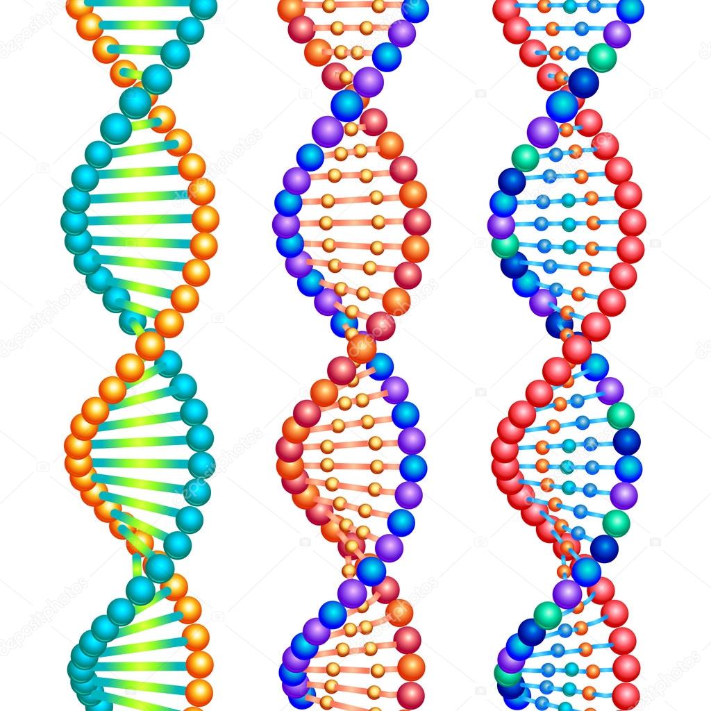 DNA molecules spirals