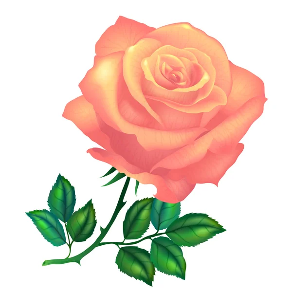 Fleur rose orange — Image vectorielle