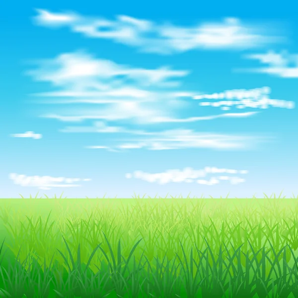 Spring green field — Stock Vector