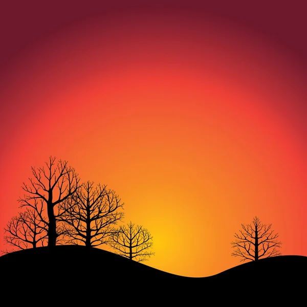 Sunset with trees — Stock Vector