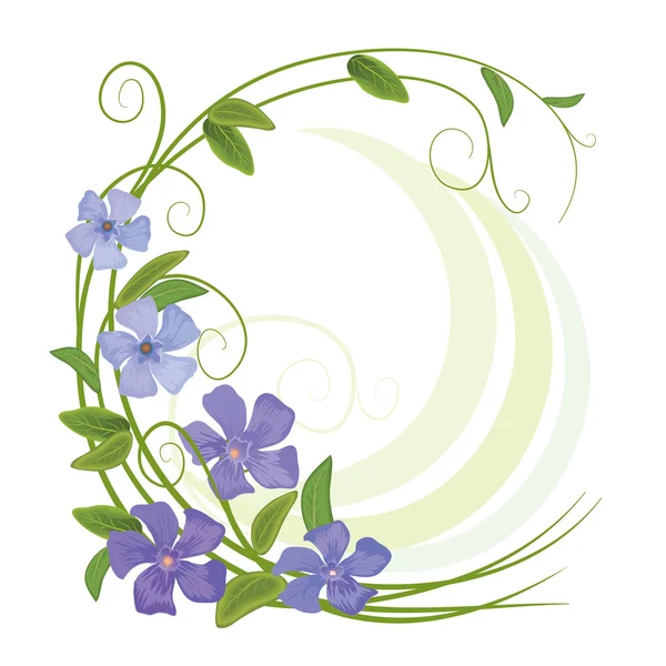 Tarjeta de flores Periwinkle — Vector de stock