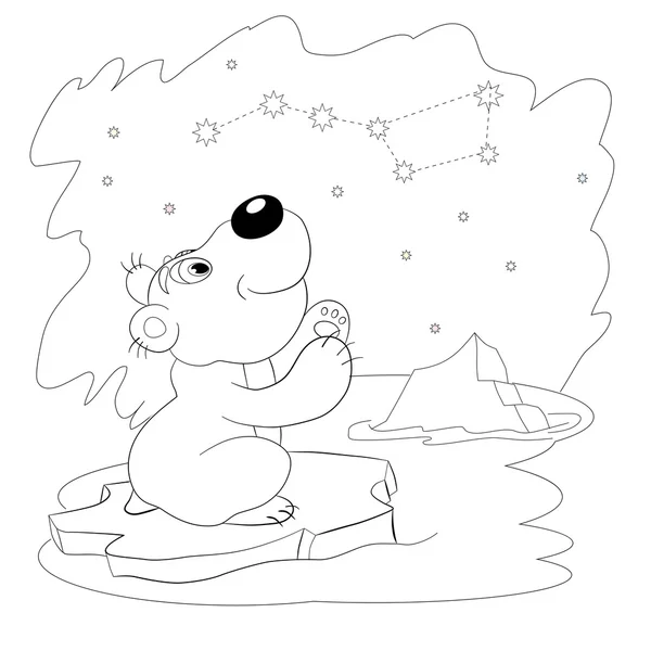 Oso mirando las estrellas — Vector de stock