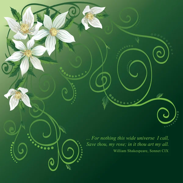 Fehér virágok-dekoratív mintát — Stock Vector