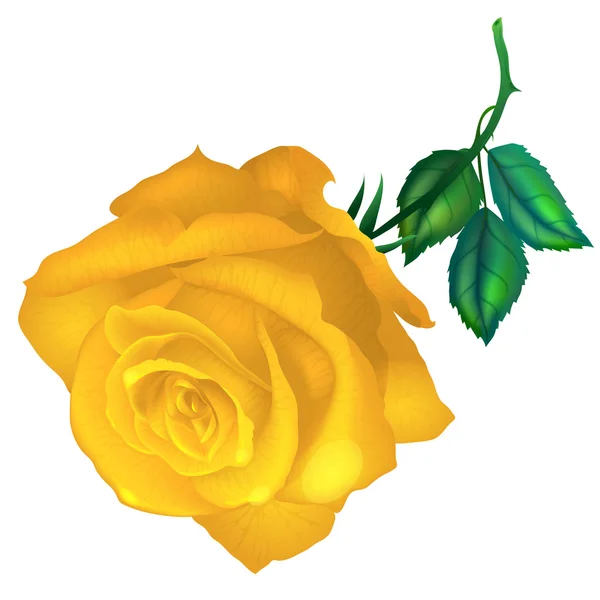 Fleur rose jaune — Image vectorielle