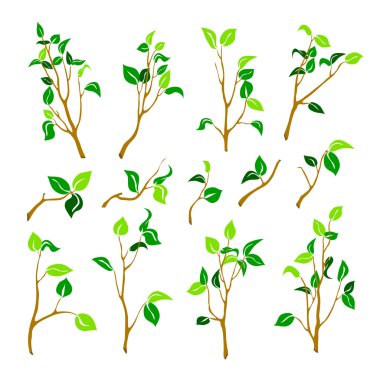 siluet stil dallarında