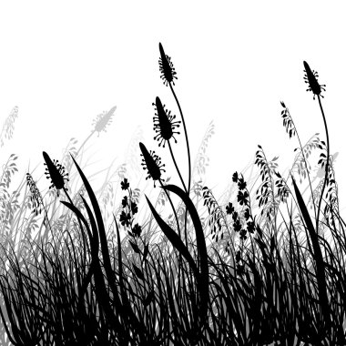 Yaz sezonu arka plan çim ile