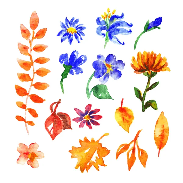 Fleurs et feuilles aquarelle — Image vectorielle