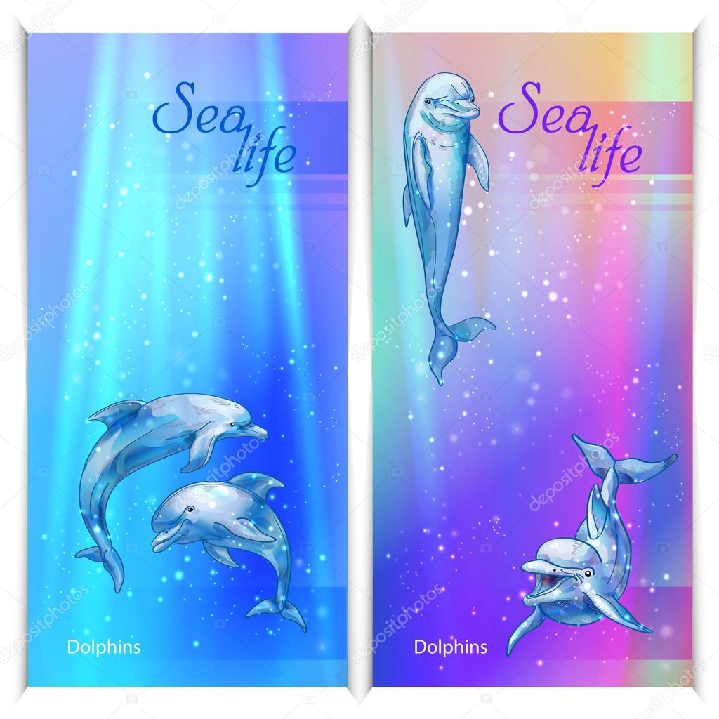 greeting cards with dolphins