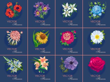 Twelve variants of floral cards clipart