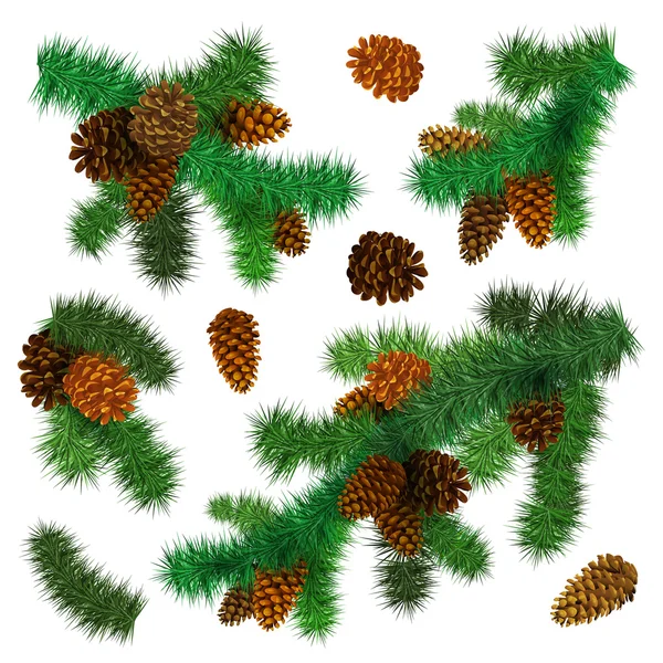 Christmas fir branches with cones — Stock Vector