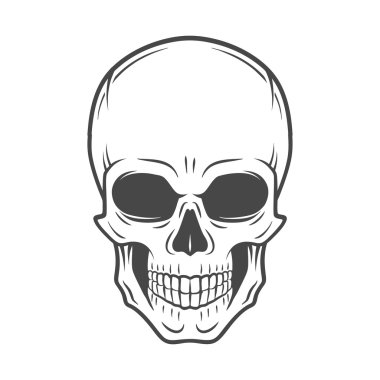 Human evil skull vector. Jolly Roger logo template. death t-shirt design. Pirate insignia concept. Poison icon illustration clipart
