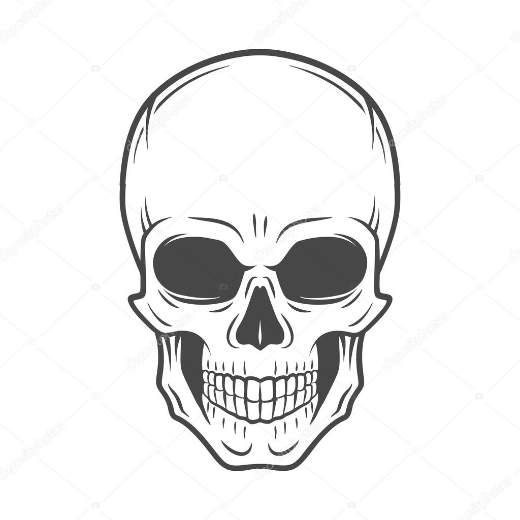 151,718 Skull Vector Images | Depositphotos