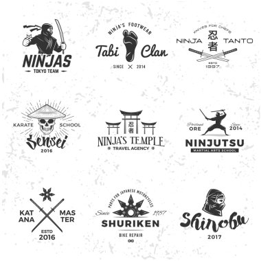 Japonya Ninja Logo kümesi. Sensei kafatası Insignia tasarım. Spor samuray maskot rozeti. Katana ana t-shirt kavramı grunge arka plan üzerinde