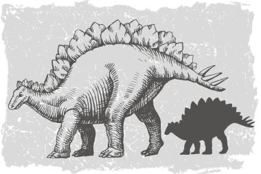 Dinozor stegosaurus çekimsel el çizimi ve siluet çizimi. Animal vektör çizimi grunge arka planında izole edildi