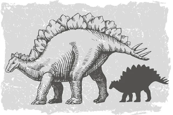 Dinosaur Stegosaurus Grafic Χέρι Που Και Εικόνα Σιλουέτα Ζωικό Διανυσματικό — Διανυσματικό Αρχείο
