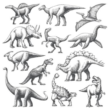 Büyük bir dinozor eli çizimi. Beyaz arkaplanda izole edilmiş hayvan vektörü çizimi