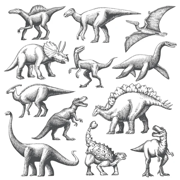 Grand Ensemble Dinosaures Dessiné Main Illustration Dessin Vectoriel Animal Isolé — Image vectorielle