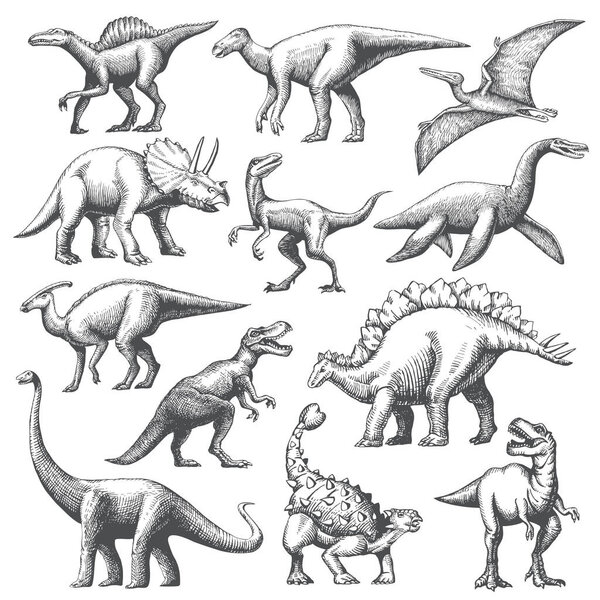 Big set of dinosaur hand drawn illustration. Animal vector drawing isolated on white background