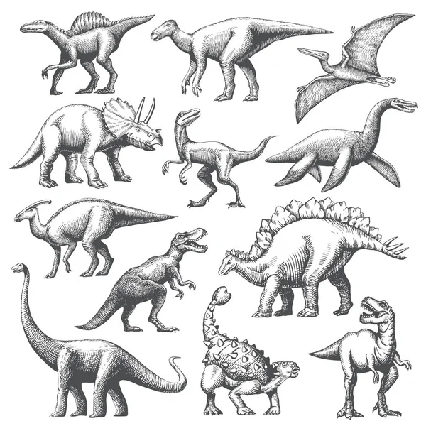 Большой Набор Нарисованных Вручную Иллюстраций Динозавров Рисунок Вектора Животных Изолирован Лицензионные Стоковые Иллюстрации