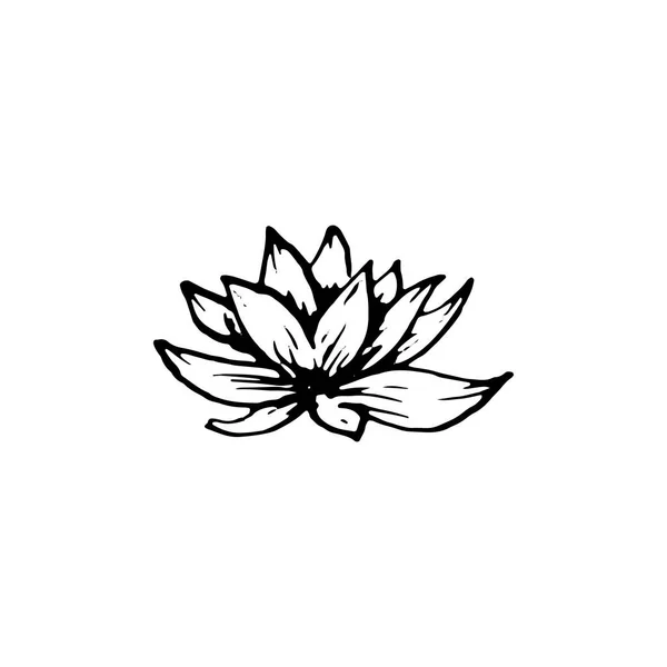 Цветок Лотоса Скетч Вектор Изолированный Белом Фоне Элемент Декора — стоковый вектор