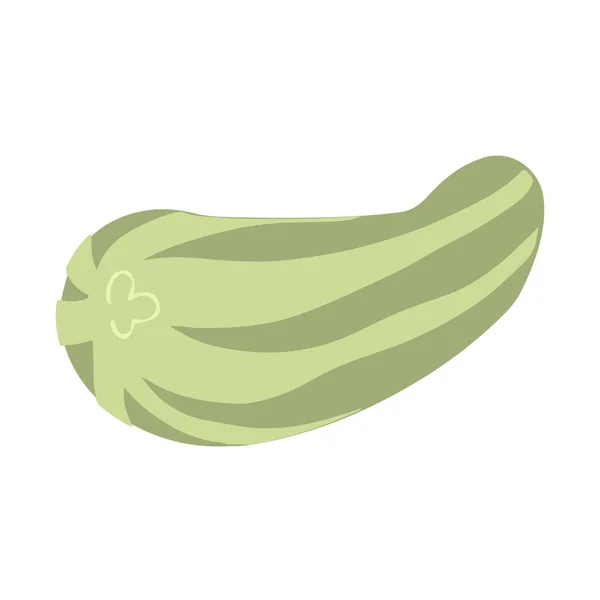 Zucchini Cartoon Stil Vektorbild Isoliert Auf Weiß — Stockvektor