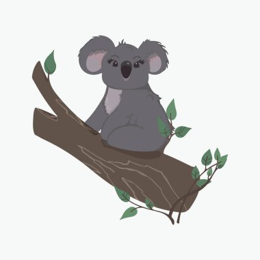 Çocuk kıyafetleri, iç tasarım, ambalaj, çıkartmalar üzerine baskı yapmak için çizilmiş bir çizgi filmdeki bir daldaki koalanın renkli çizimi. Beyazda izole edilmiş