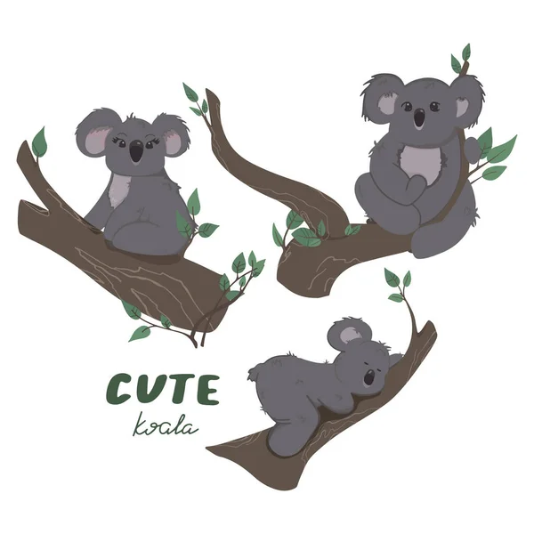 Bunte Vektor Kinder Illustration Von Drei Koalas Auf Einem Zweig — Stockvektor